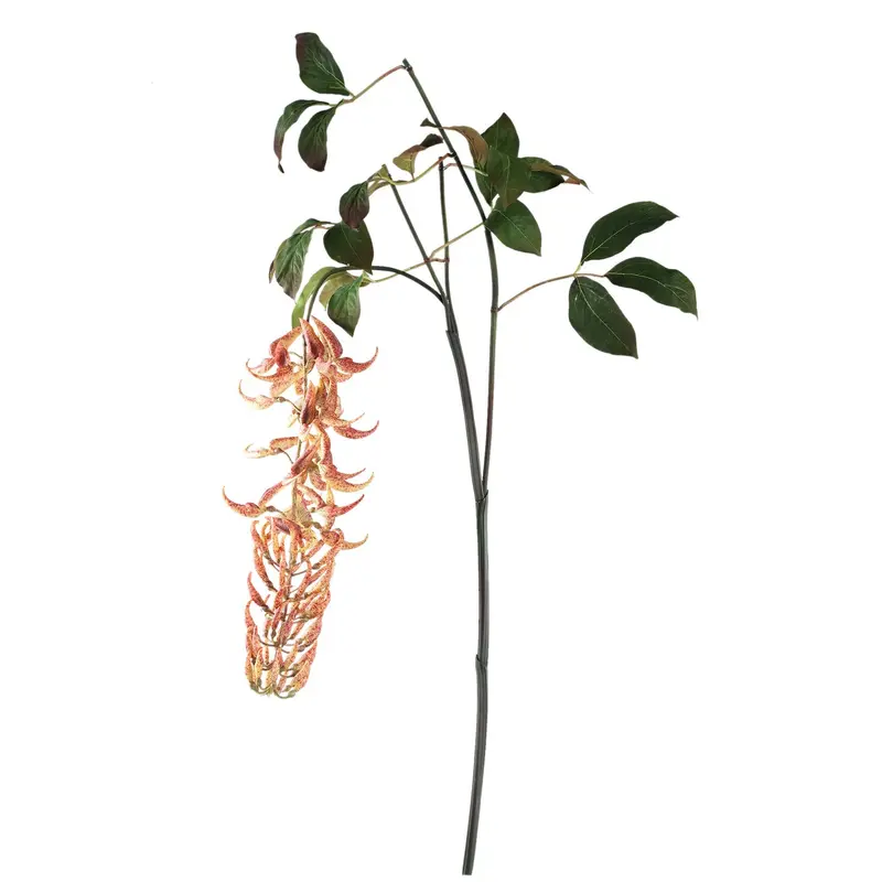 Leaves Plant Orange Strongylondon Spray 105x60x150cm PTMD