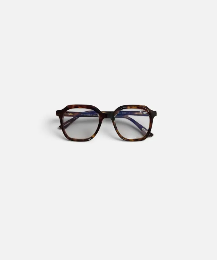 Leesbril Frank and Lucie Eyecan Turtle Shade