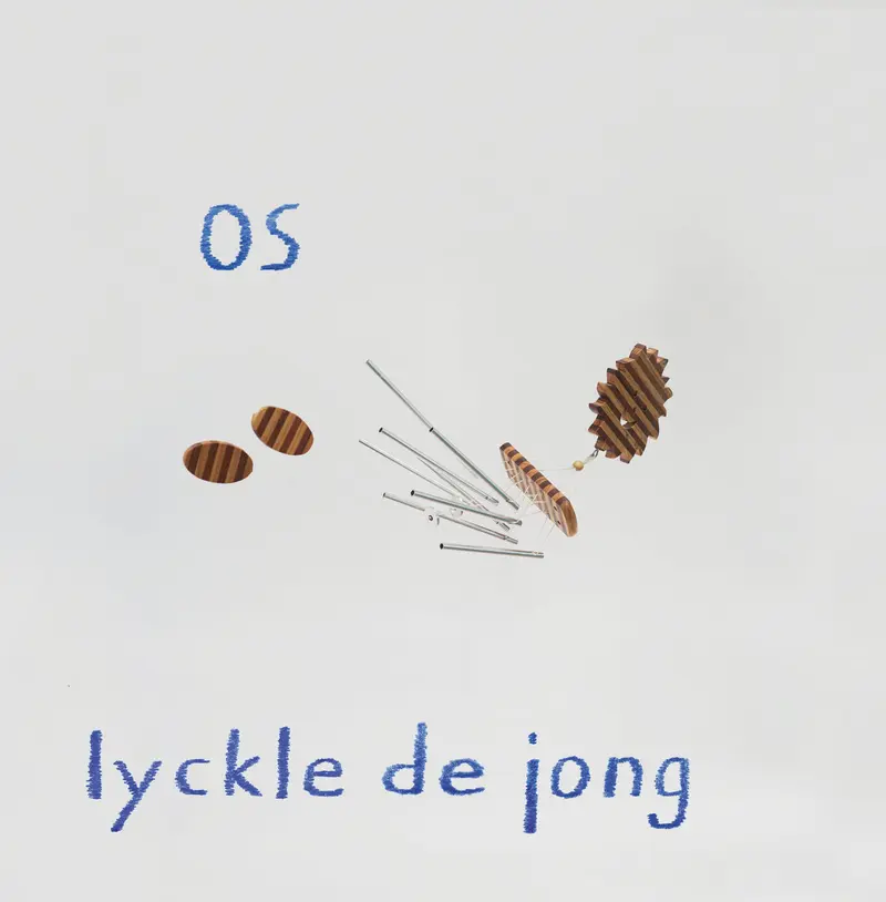 Lyckle De Jong - OS