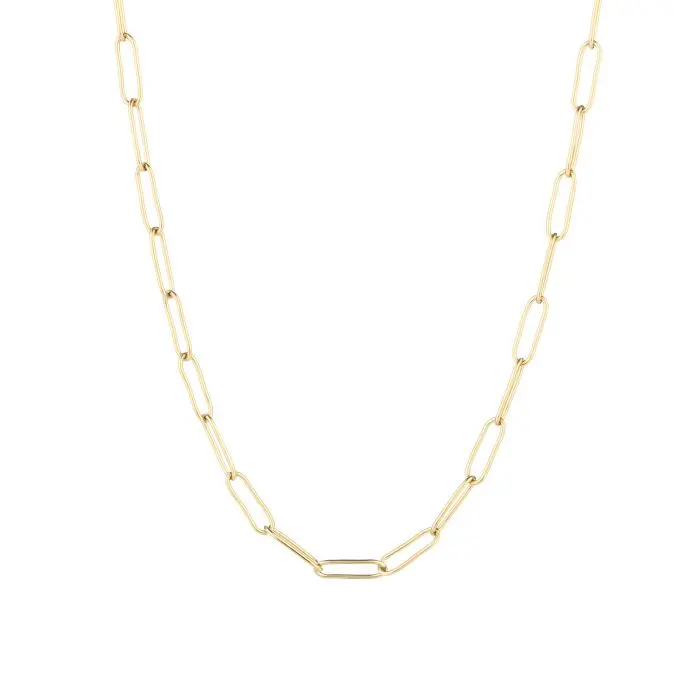 Michelle Bijoux Collier Schakel Dun Goud