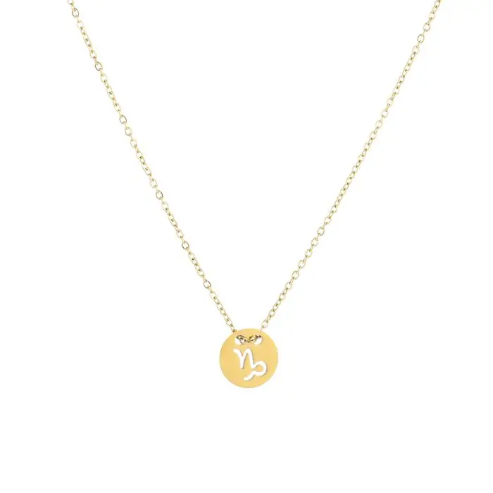 Michelle Bijoux Ketting Capricorn - Steenbok