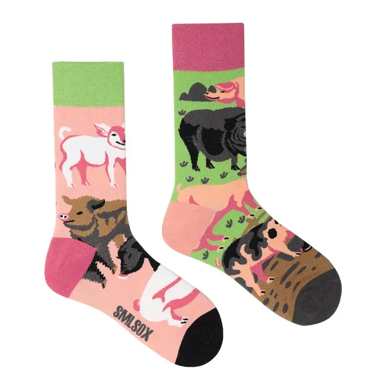 Mismatched Crew Socks