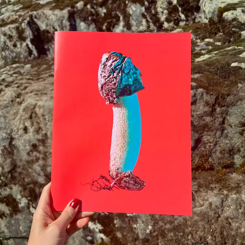 Mushrooms and Friends Zine 3