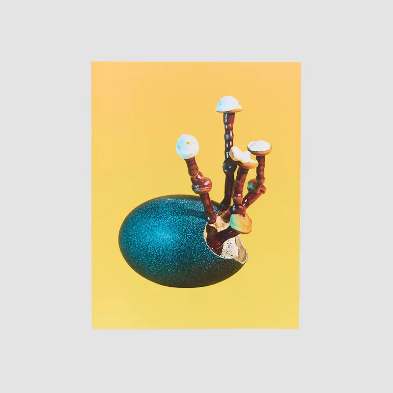 Mushrooms and Friends Zine 4