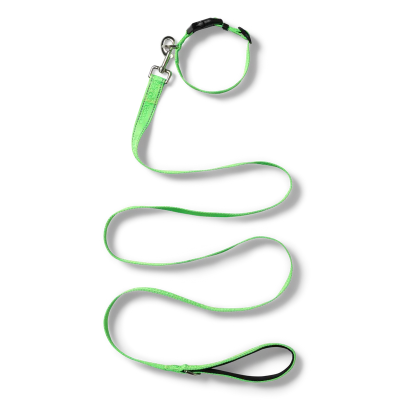 NP Pet Lead