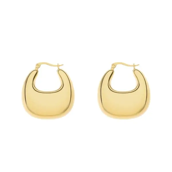oorbel 8118560