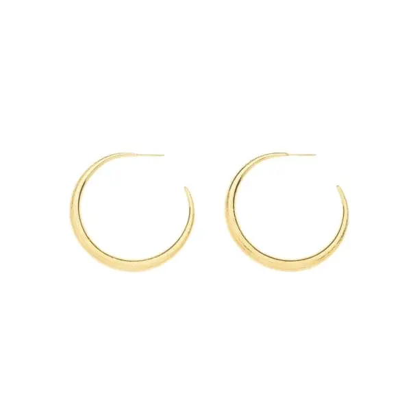oorbel 8118610