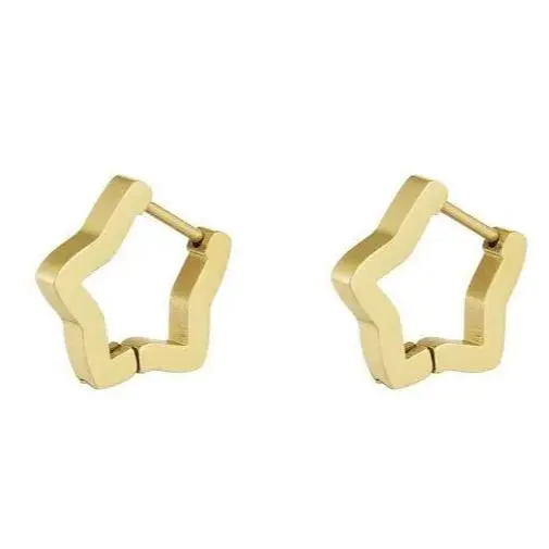 Oorbellen Basic Ster goud S