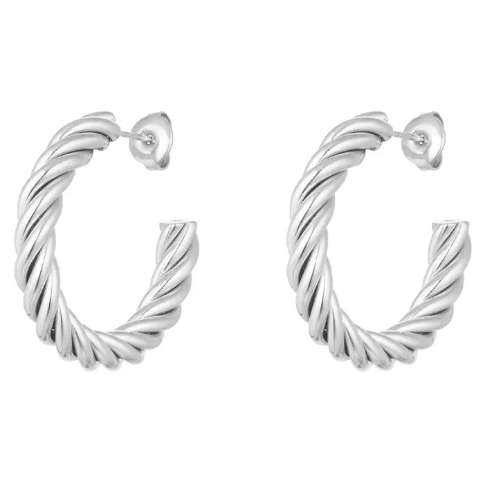 Oorbellen Gedraaid zilver M