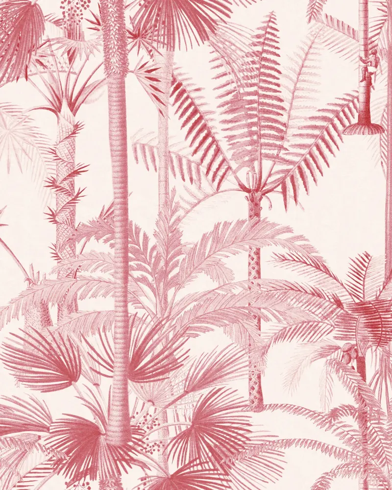 Palmera cubana pink