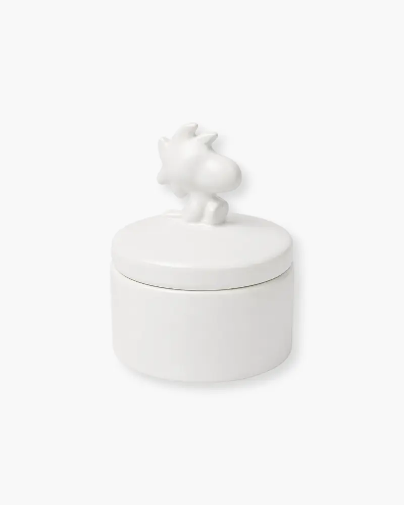 Peanuts Trinket Box - Woodstock