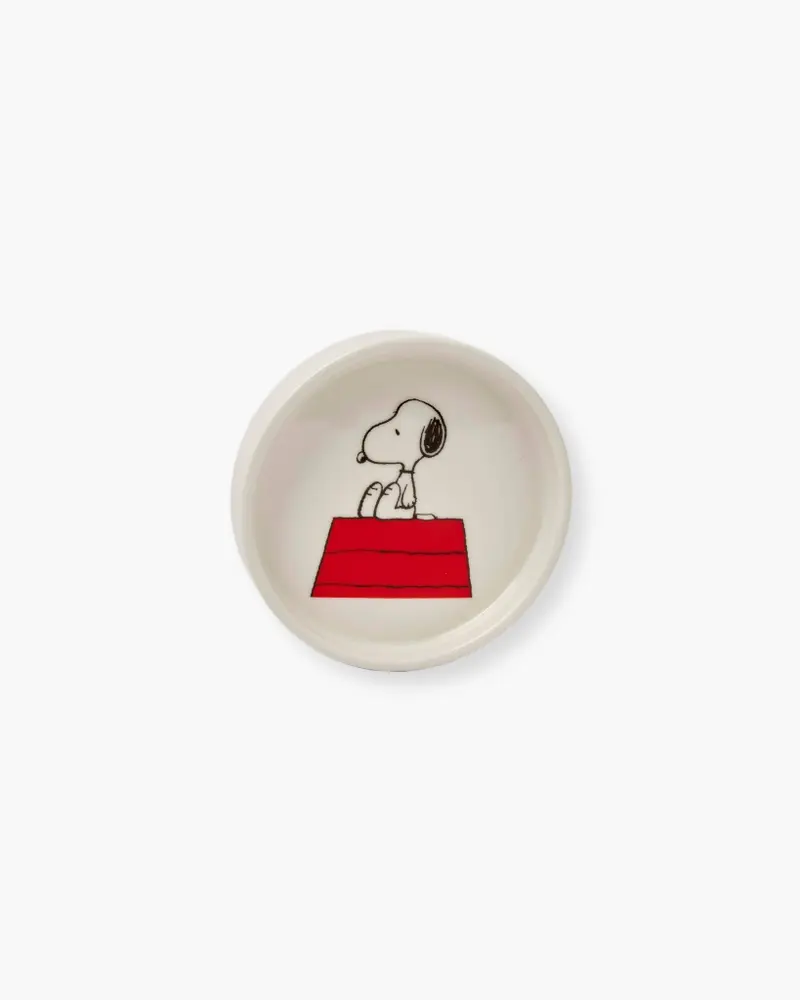 Peanuts Trinket Dish - Home Sweet home