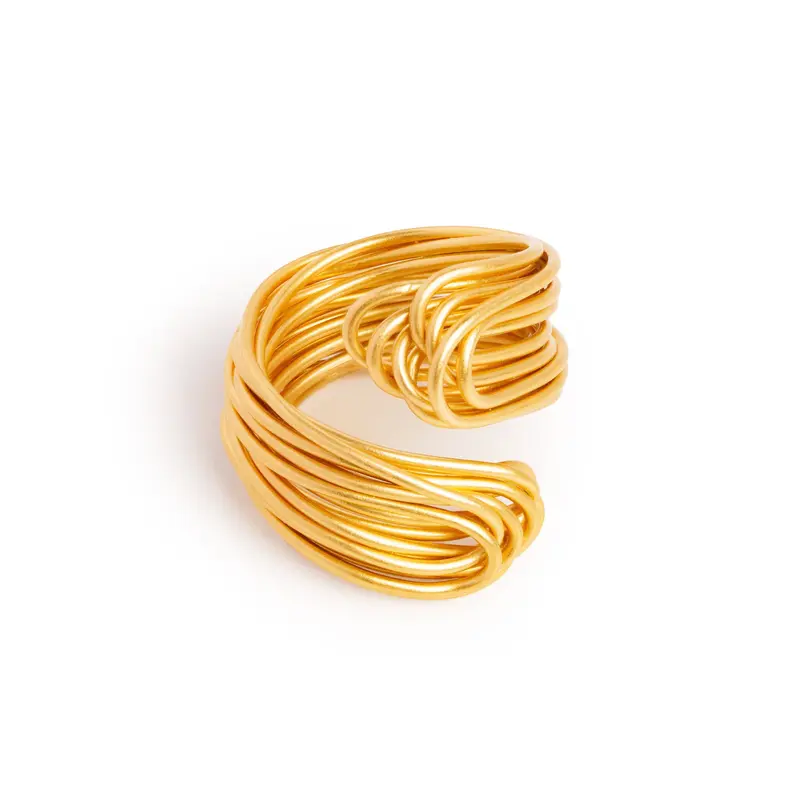 Ring Emily RNN