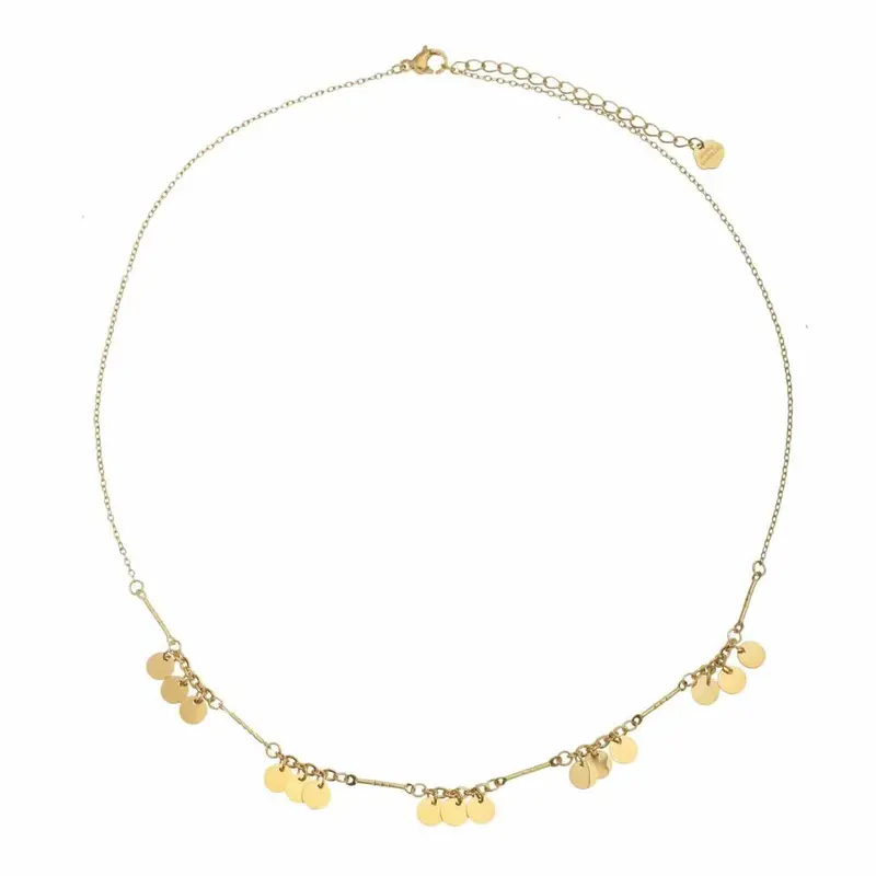 rose & camellia ketting lovely coins