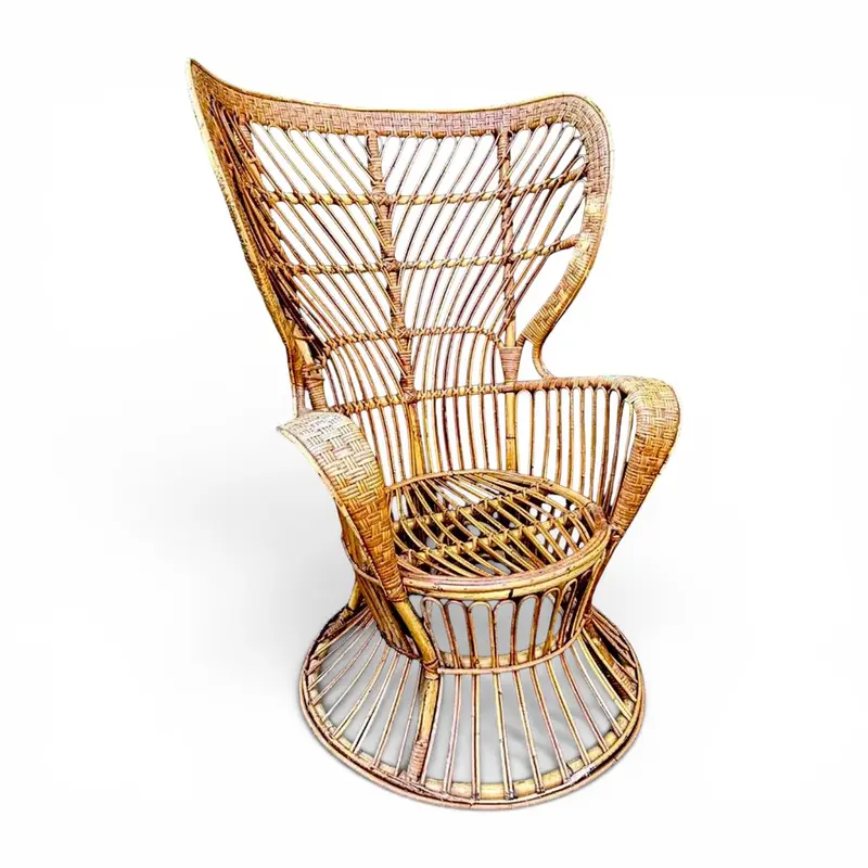 Rotan Loungestoel van Lio Carminati voor Gio Ponti, Italië 1960s