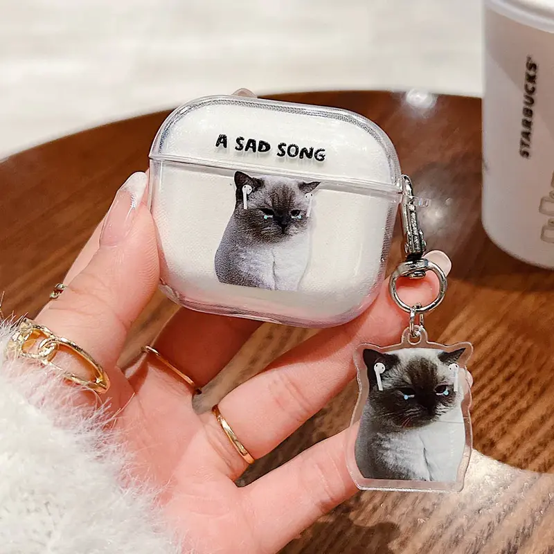Sad Song Cat AirPods Charger Case Cover