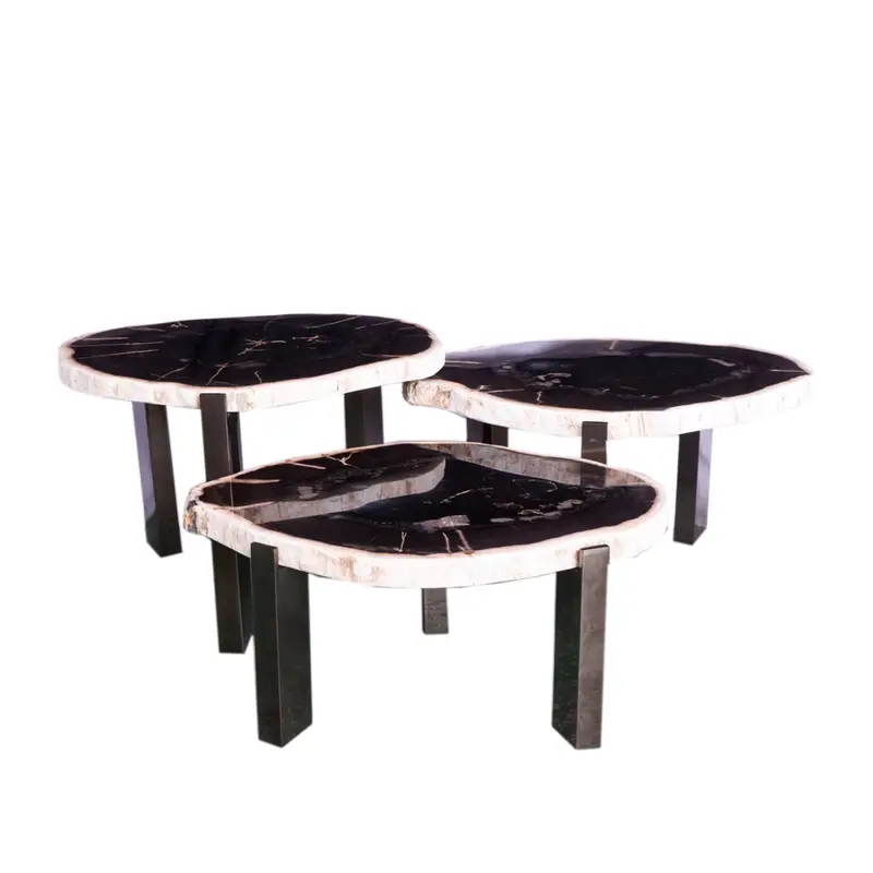 Salontafel Rudi Versteend Hout Grijs Set van 3 PTMD