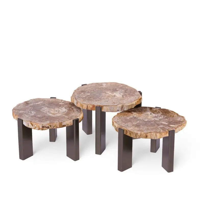 Salontafel Rudi Versteend Hout Naturel PTMD Set van 3