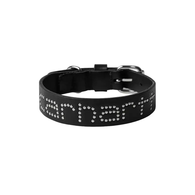 Script Studs Dog Collar