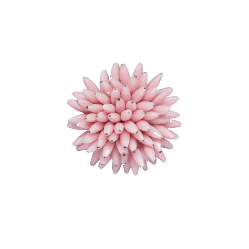 SEA TREASURE