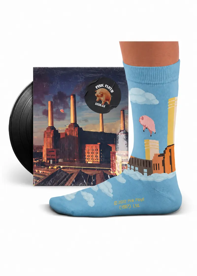 Sock Affairs Pink Floyd Animals Socks Blue