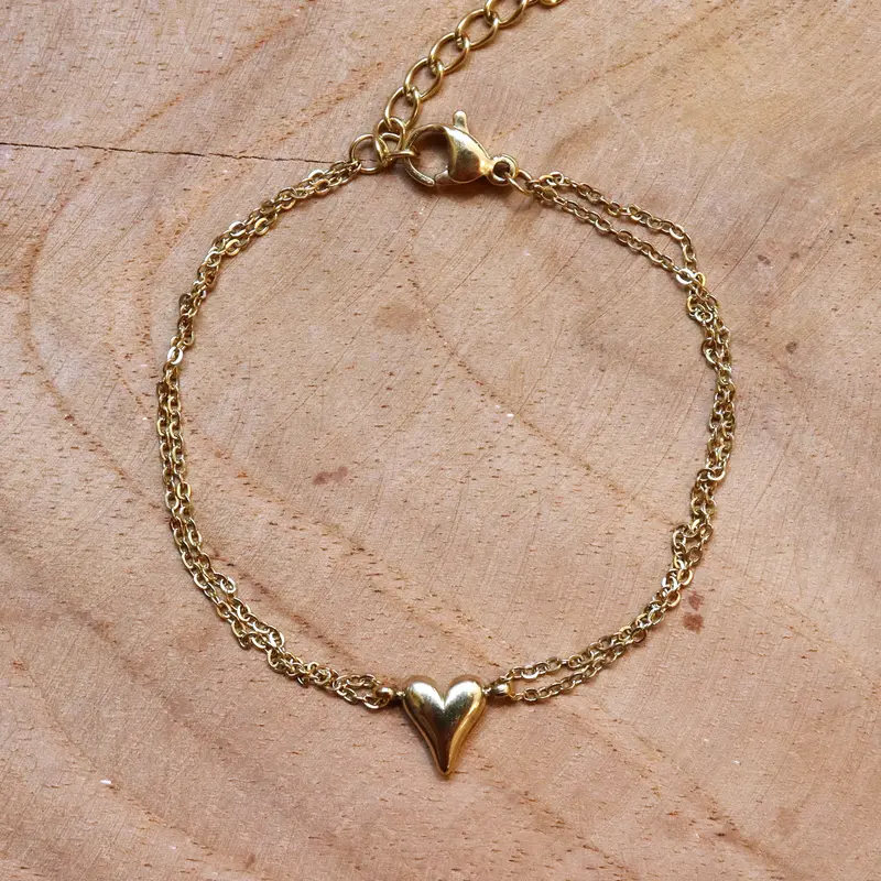 Stainless steel armband hart dubbel jasseron goud
