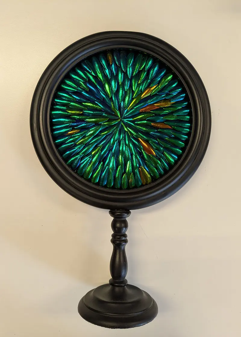 Succubus Curiosities Elytra of Beetles in Oval Frame