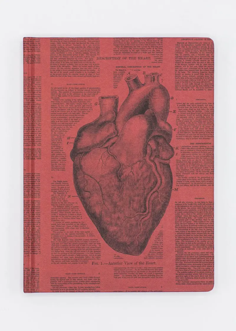 Succubus Home Anatomical Heart Hardcover Notebook