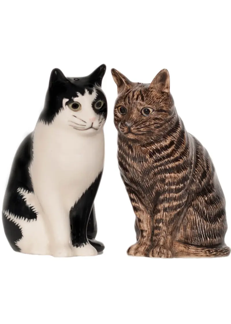 Succubus Home Animal Barney and Clementine Cats Salt & Pepper Set