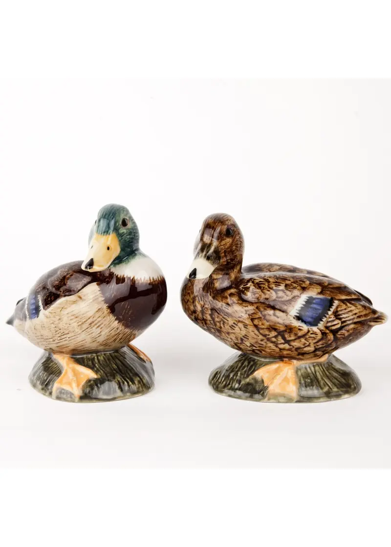 Succubus Home Animal Mallard Duck Pepper & Salt Set
