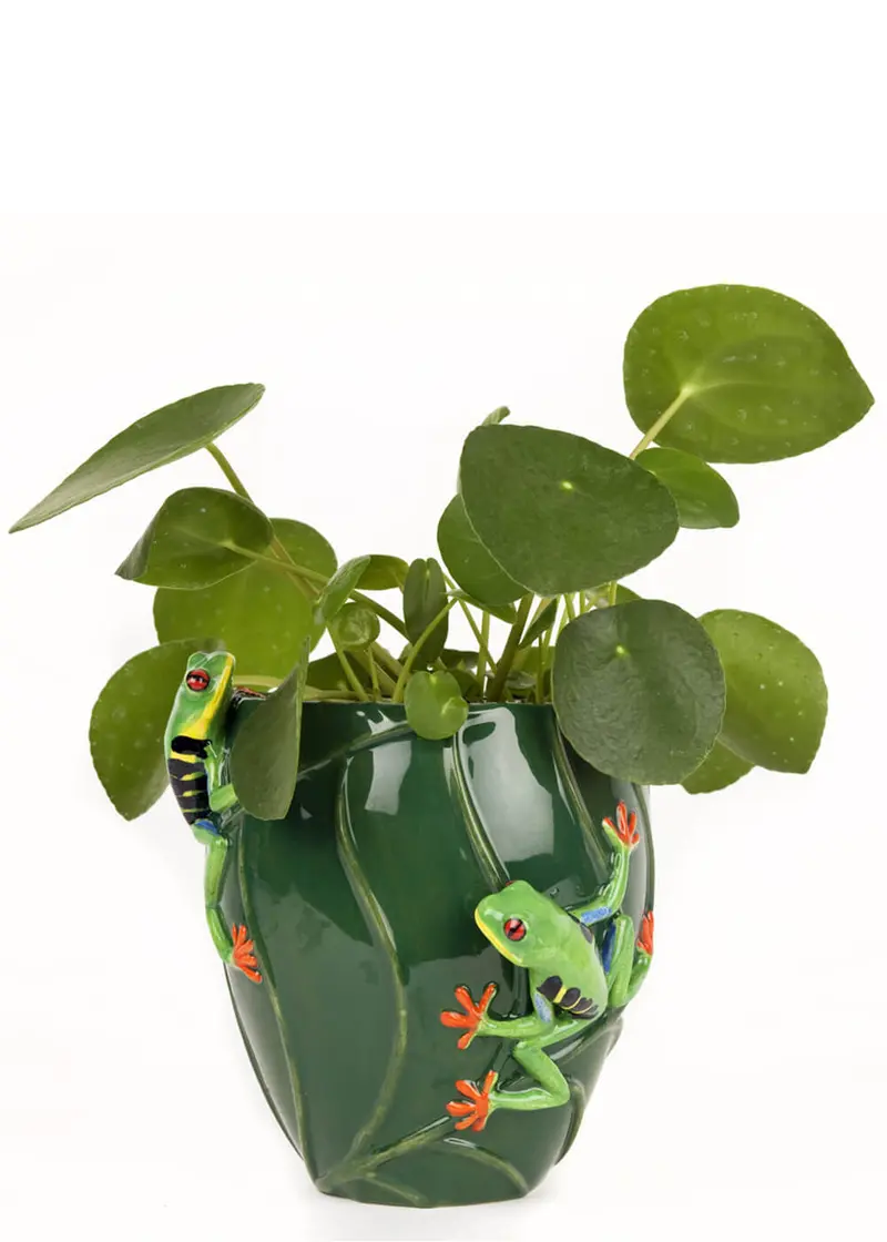 Succubus Home Animal Tree Frog Vase Green