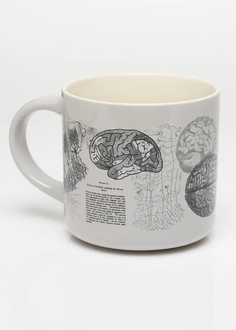 Succubus Home Brain Anatomy Cup Mug