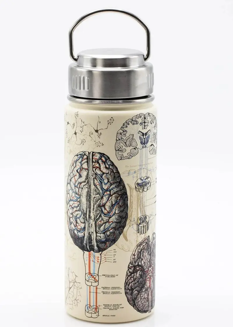Succubus Home Brain & Neuroscience Thermos Bottle 500 ml