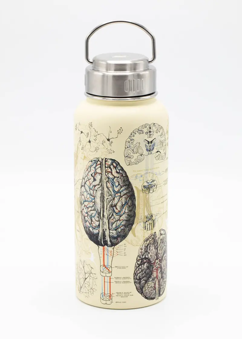 Succubus Home Brain & Neuroscience Thermos Bottle 950 ml