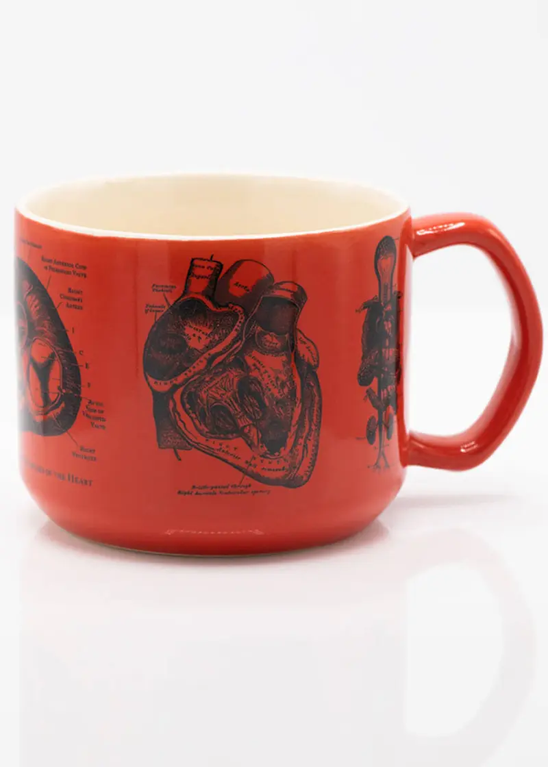 Succubus Home Heart Anatomy Ceramic Cup Mug