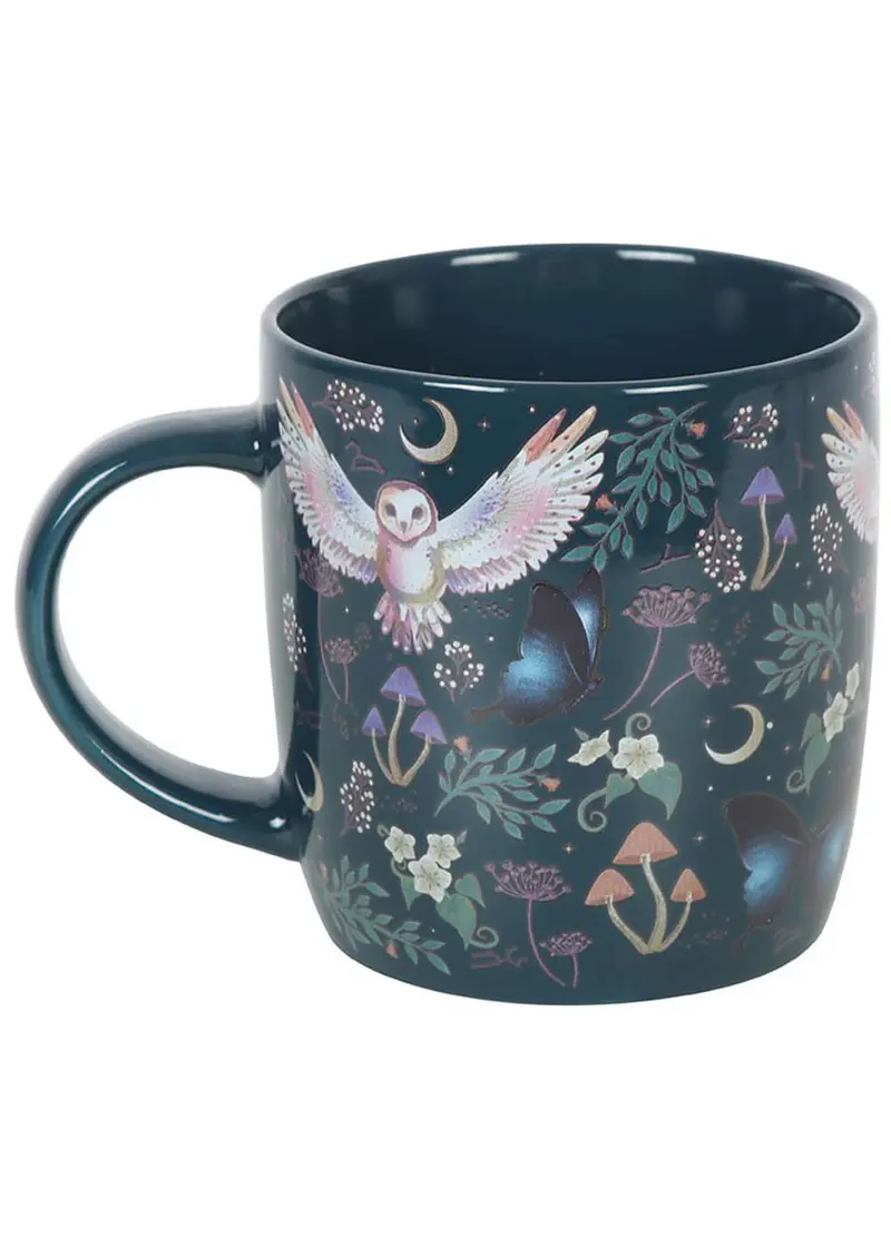 Succubus Home Night Flight Cup Mug