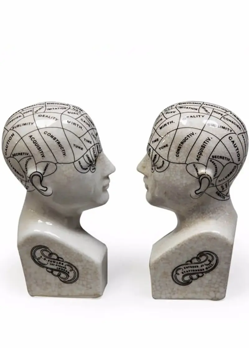 Succubus Home Phrenology Head Bookends