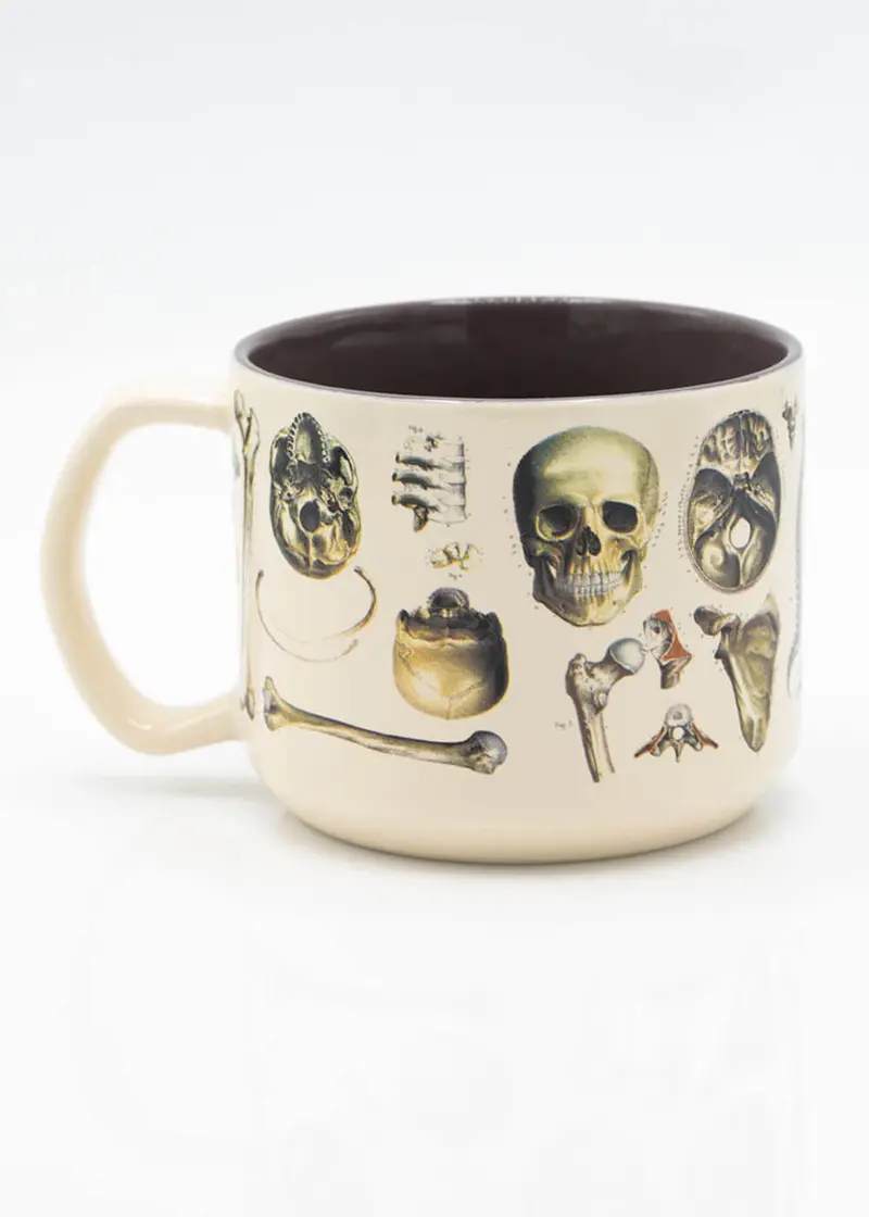 Succubus Home Skeleton Cup Mug