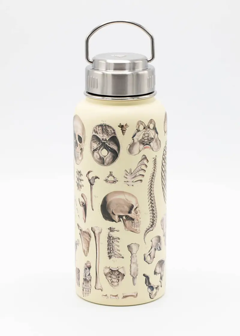 Succubus Home Skeleton Thermos Bottle 950ml