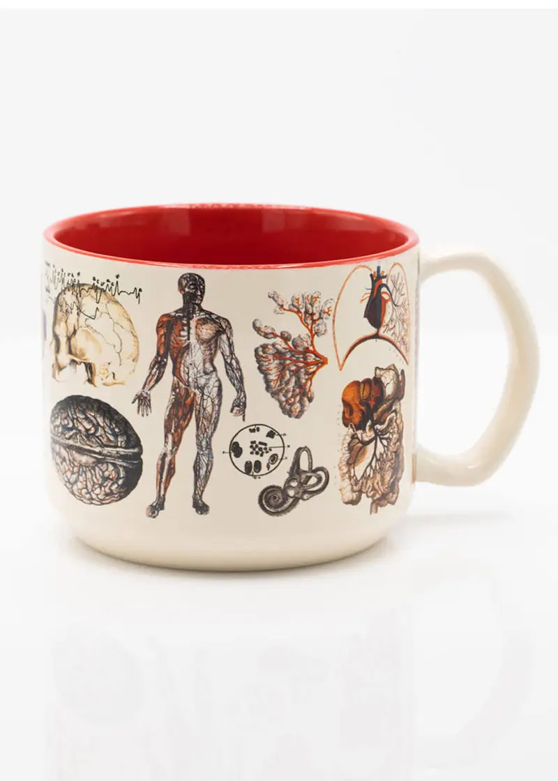Succubus Home Vascular Anatomy Ceramic Cup Mug