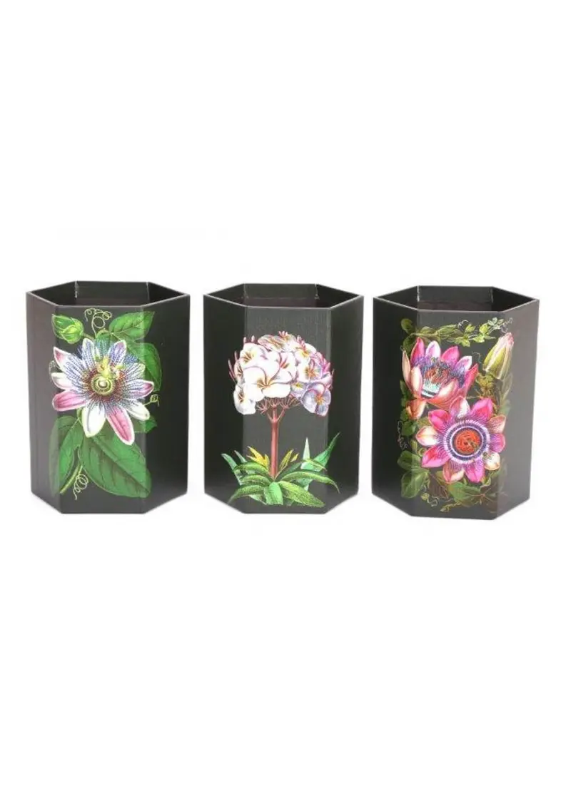 Temerity Jones Botanical Garden Set of 3 Black Pots