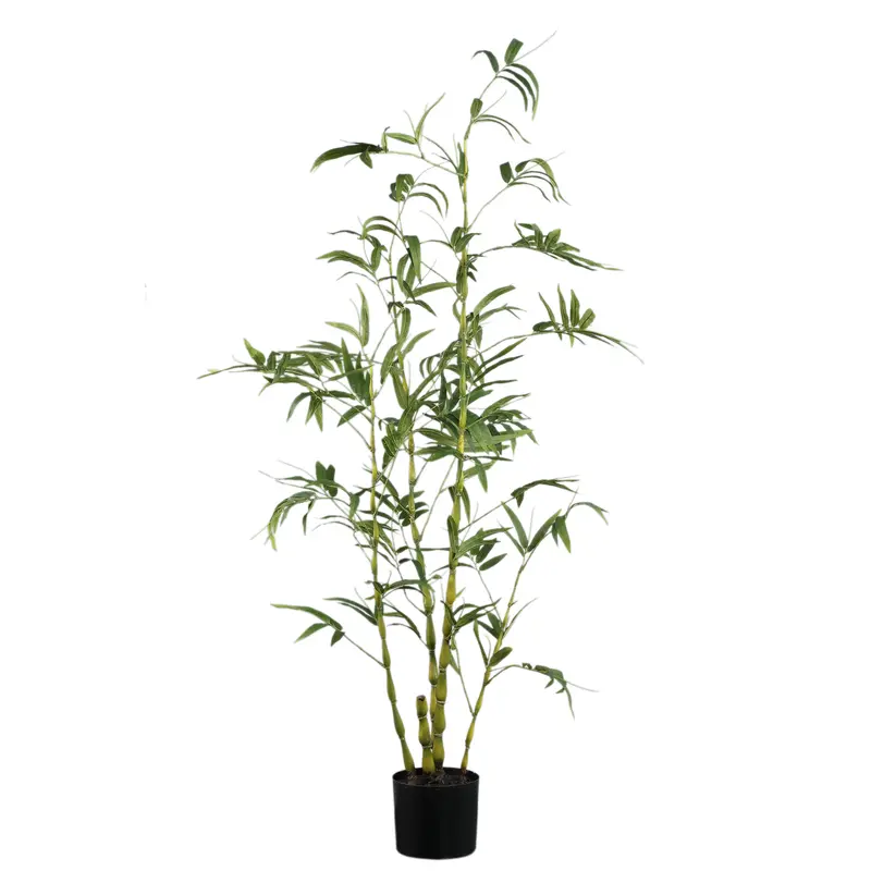 Tree Green Bamboo Tree In Pot 135x80x150cm PTMD