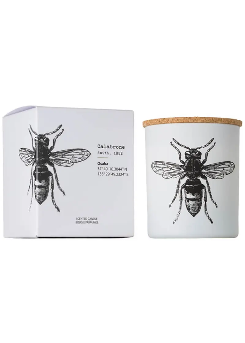 Vila Hermanos Insects Calabrone 190g Sented Candle
