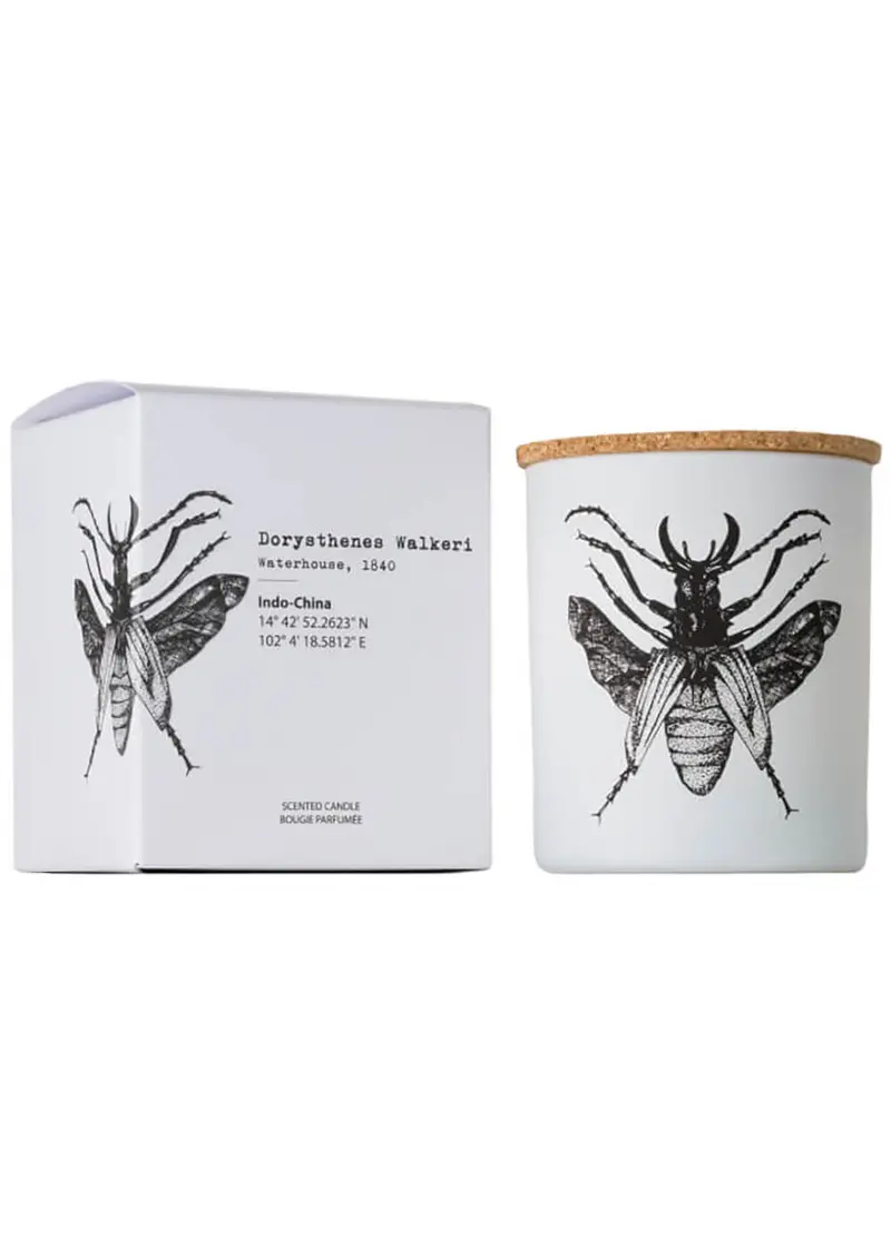 Vila Hermanos Insects Dorysthenes Walkeri 190g Sented Candle