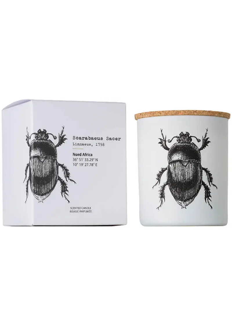 Vila Hermanos Insects Scarabeus Sacer 75g Sented Candle