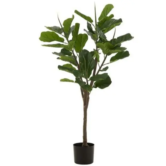 Vioolbladplant Plastiek Groen J-Line