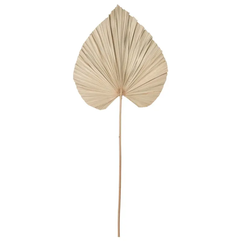 Wandblad Palm Naturel Large 145cm MUST Living