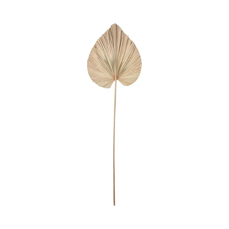 Wandblad Palm Naturel Small MUST Living