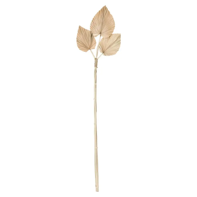 Wandbladen Palm Naturel Trio MUST Living
