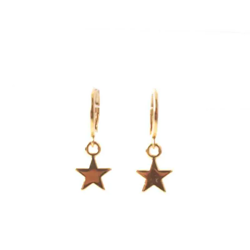 widaro oorbellen golden stars